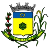 Decretos Municipais