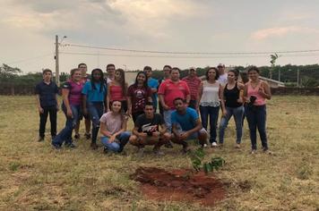 Fundo Social realiza projeto para plantio de árvores na cidade