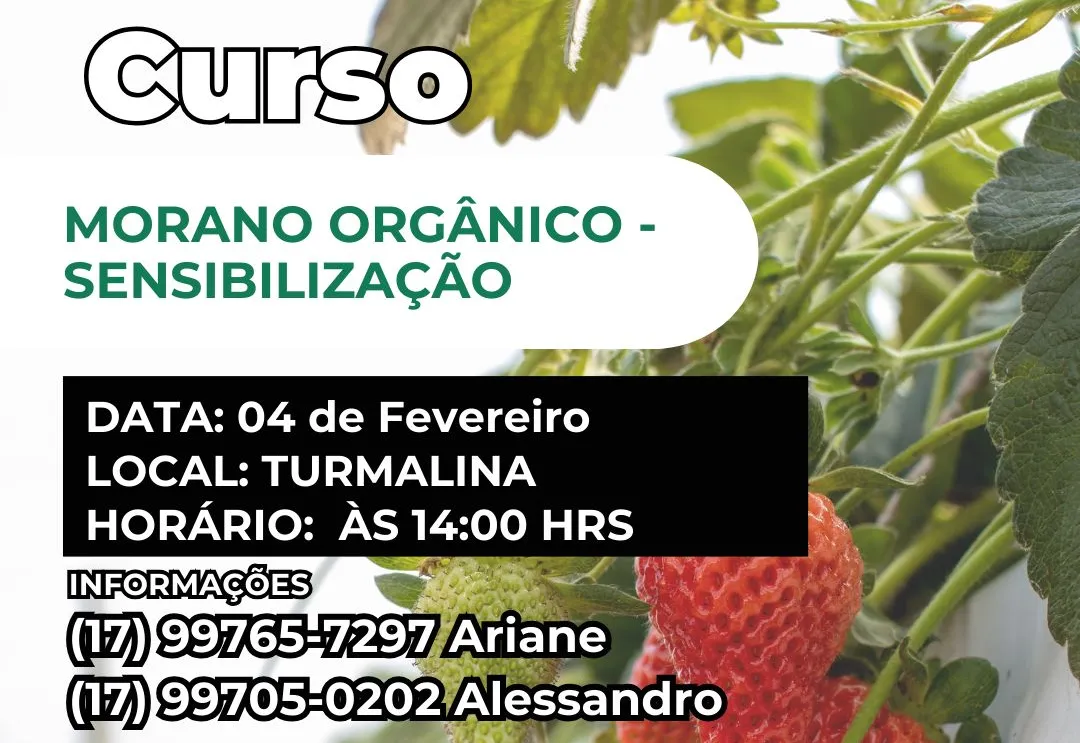 PROGRAMA | MORANGO ORGÂNICO – SENSIBILIZAÇÃO