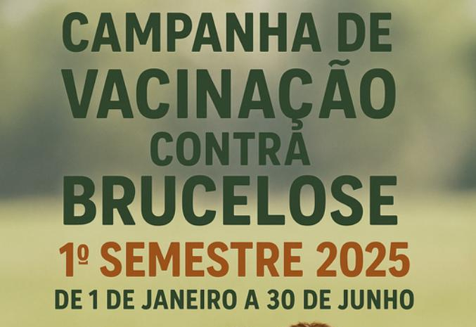 Campanha de Vacinação Contra Brucelose